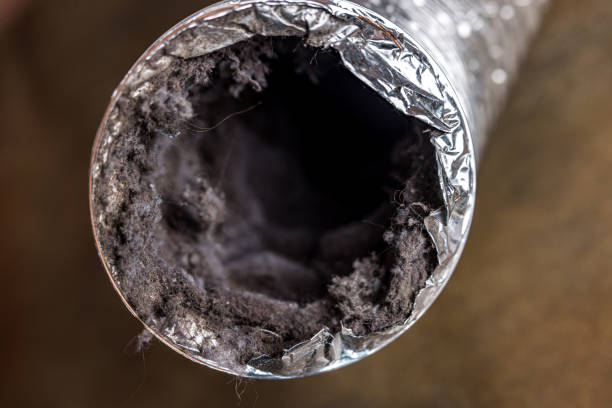 Professional Airduct Cleaning in White Cloud, MI